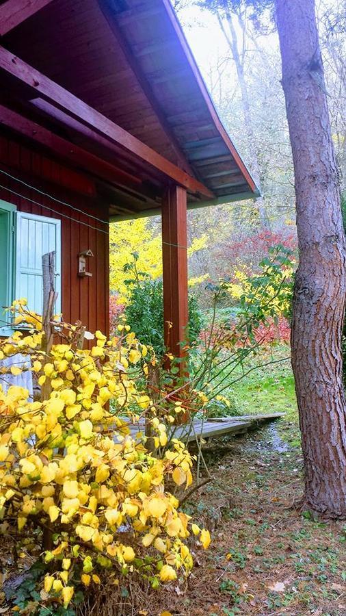 Rosehill Cottage Orbányosfa Kültér fotó